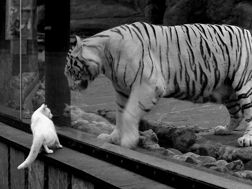 _运动员坚持到底，逆转获胜瞬间感动全场_，一个运动员坚持的励志视频