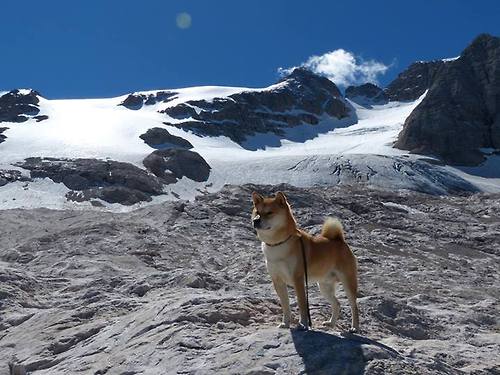 “未来速度，新能源激发新奇迹”——绿色引擎点燃激情赛场，绿色新能源大赛题目