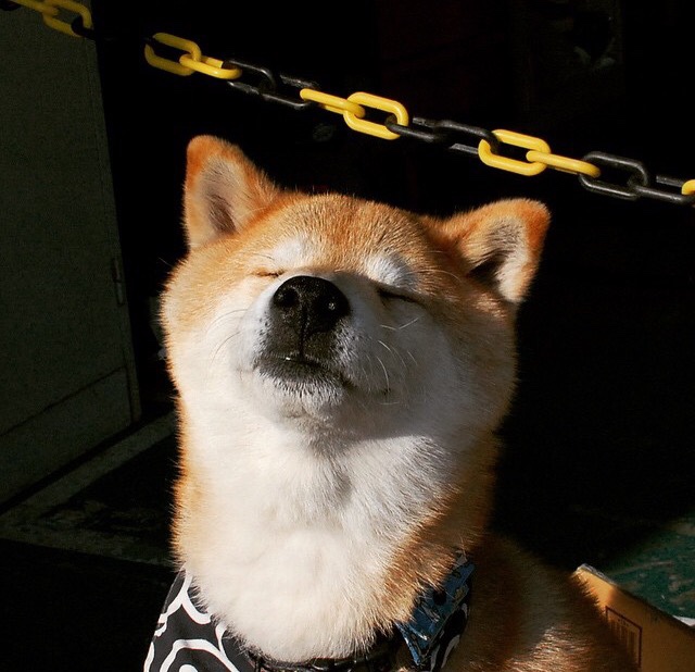 FB体育官网-比赛中的“奇技淫巧”：专业选手的绝技欣赏，奇技赢巧是什么意思