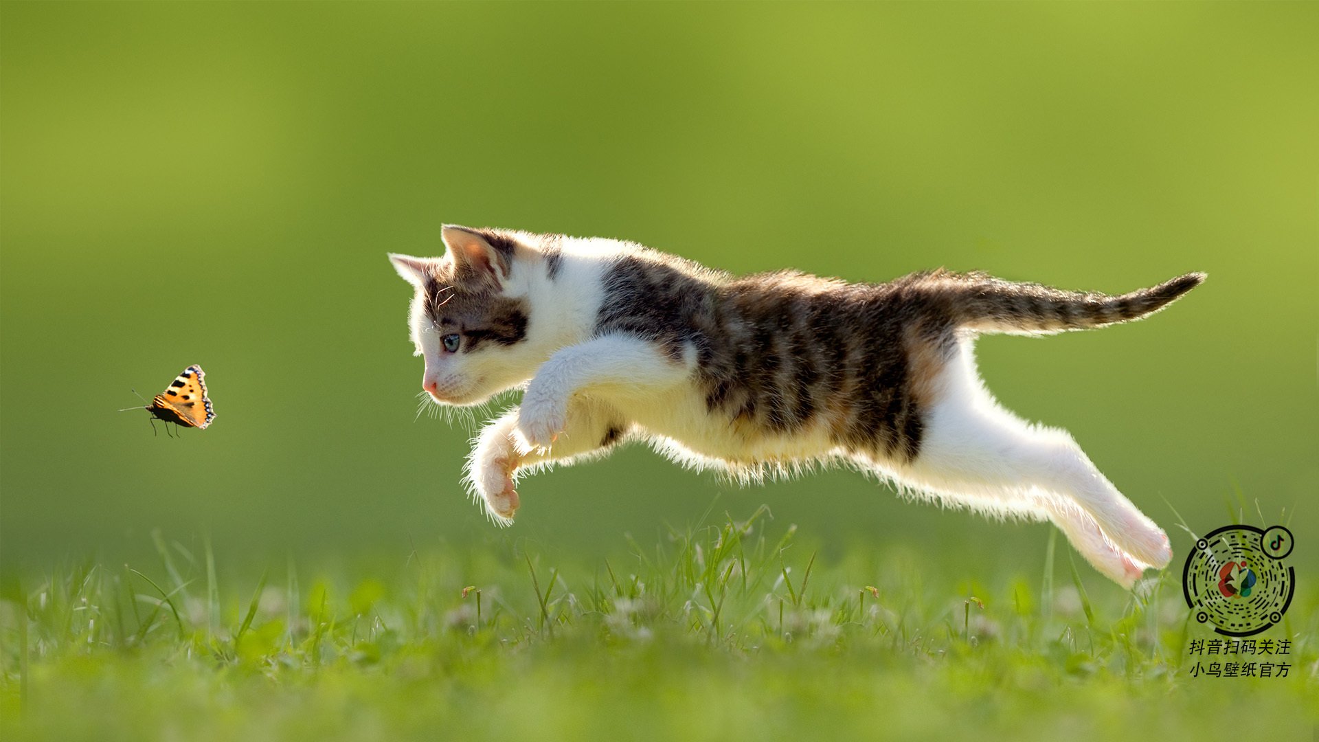 FB体育登录入口-绚丽瞬间：半场封盖、三分绝杀、精彩抢断一应俱全！