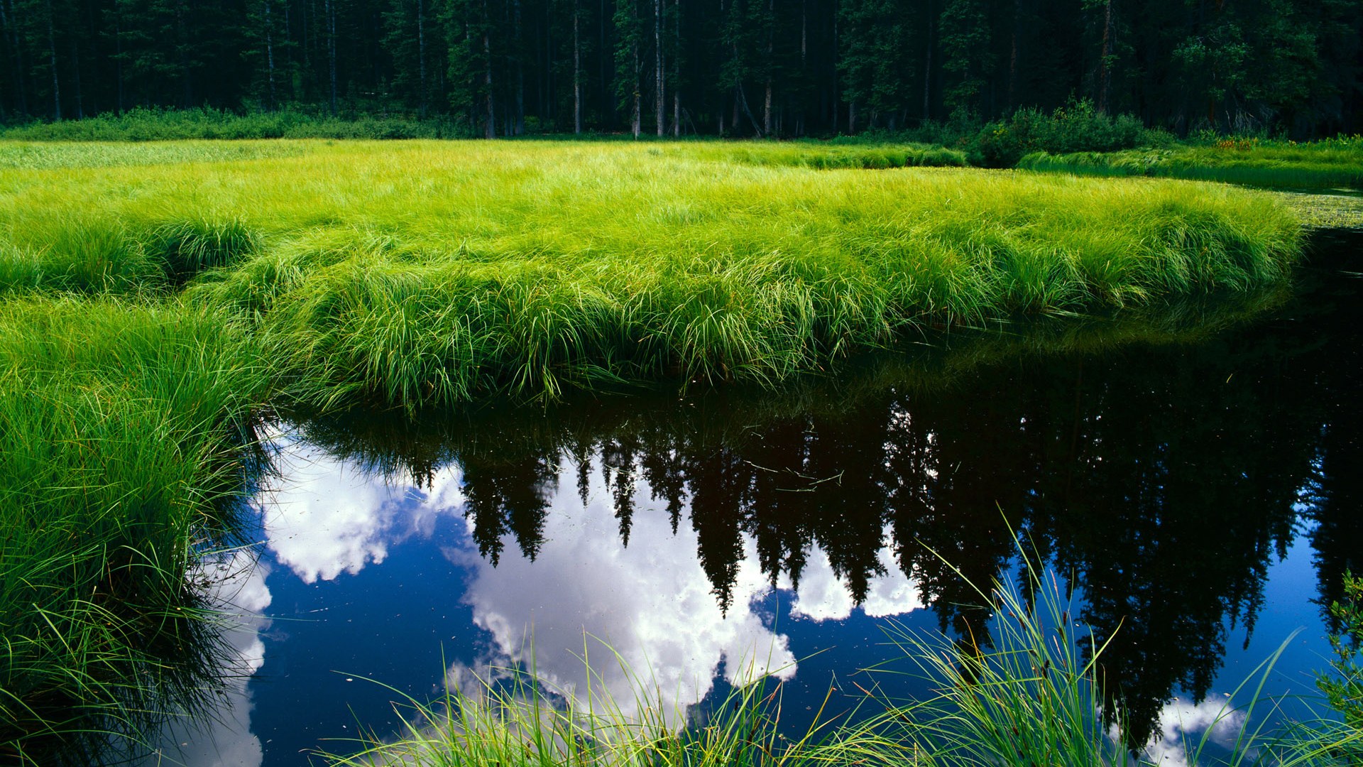 FB体育娱乐-青少年篮球“星火计划”开启，培养多样化运动人才，星火篮球训练营